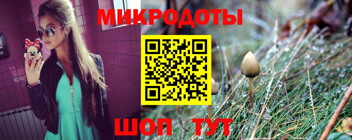 Галлюциногенные грибы Psilocybe Стрежевой