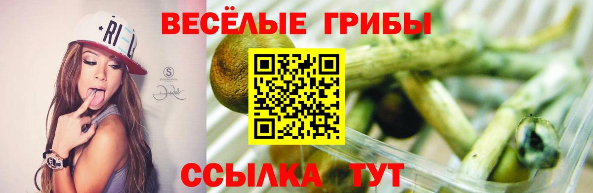 Стрежевой  Псилоцибиновые грибы MAGIC MUSHROOMS  Псилоцибиновые грибы прущие грибы  Вход с VPN 